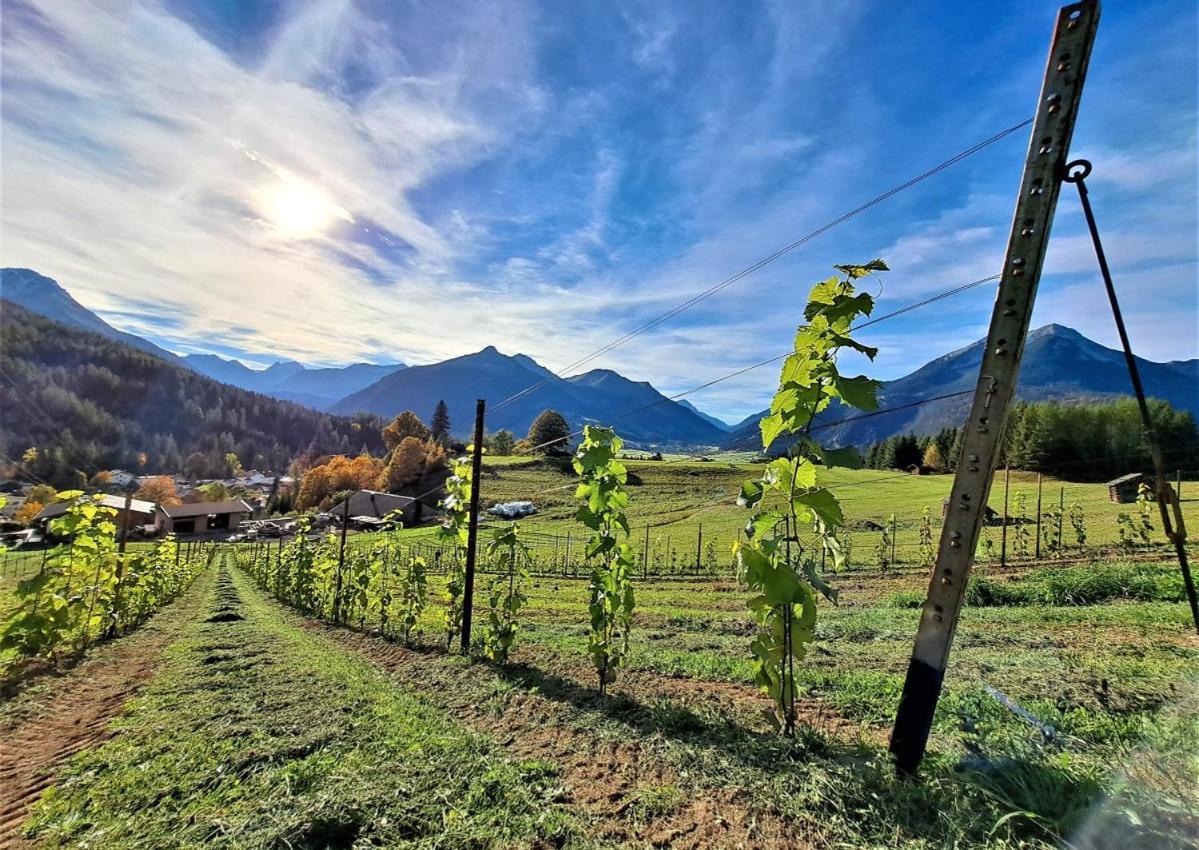 Der Trueferhof Ehrwald Exterior foto