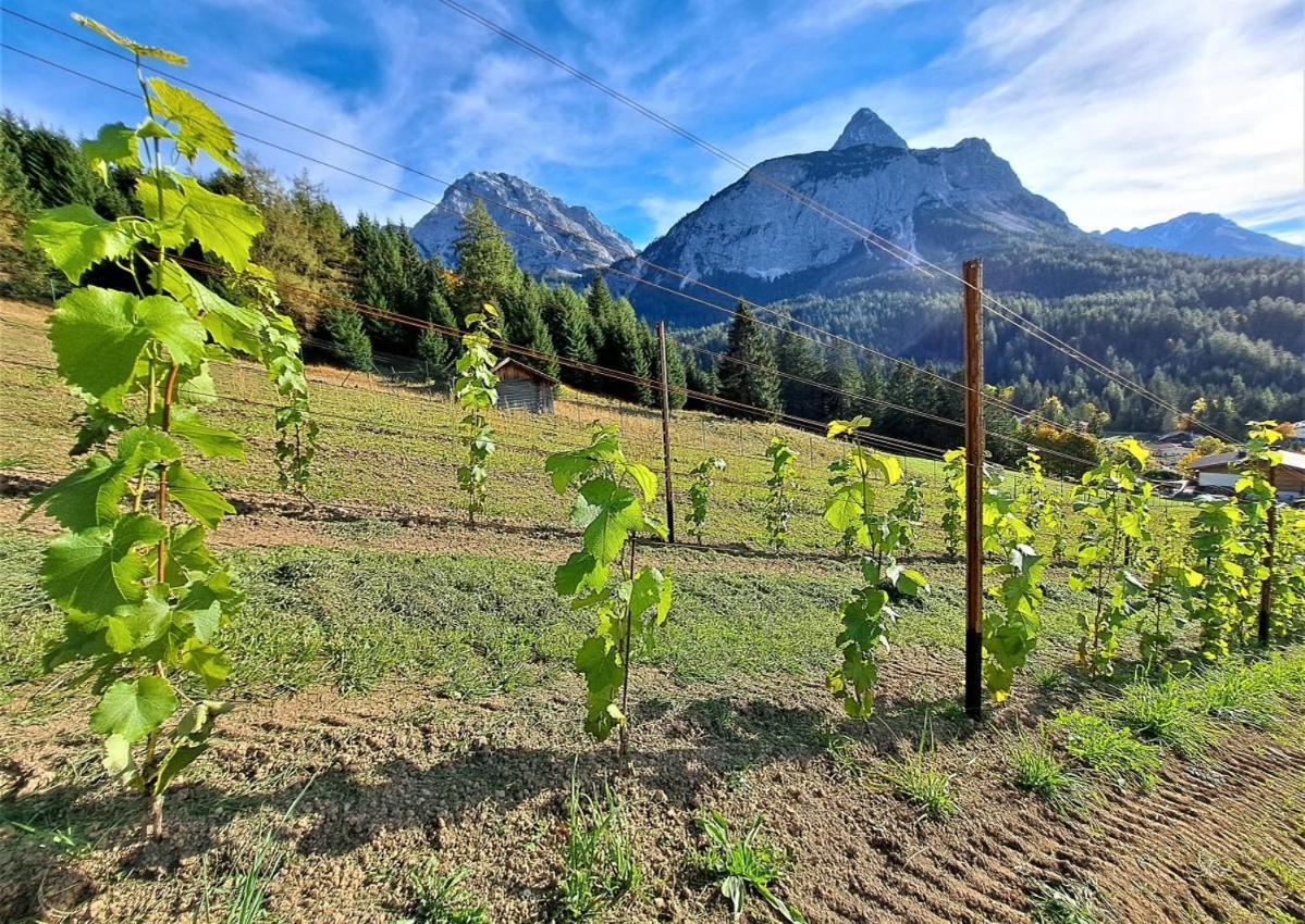 Der Trueferhof Ehrwald Exterior foto